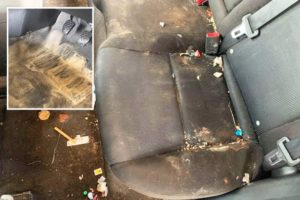 Auto Biohazard CleanUp CSI - Crime Scene Cleaners Chicago